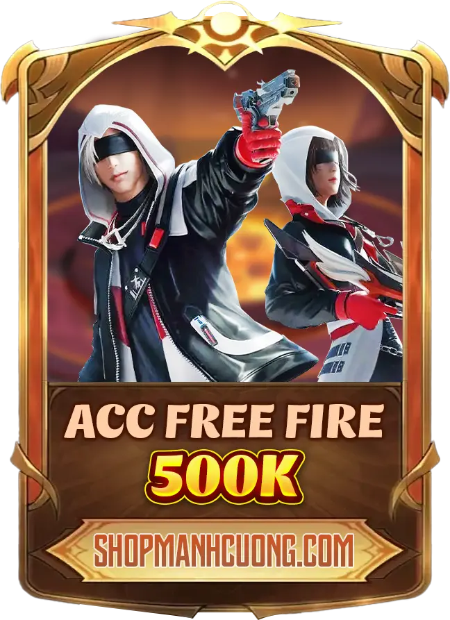 ACC FF 500K